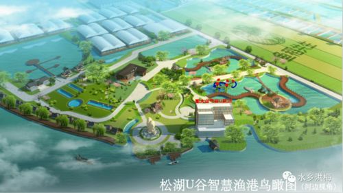 年產值將達2億 洪梅又一大項目動工,將助推都市農業旅游發展