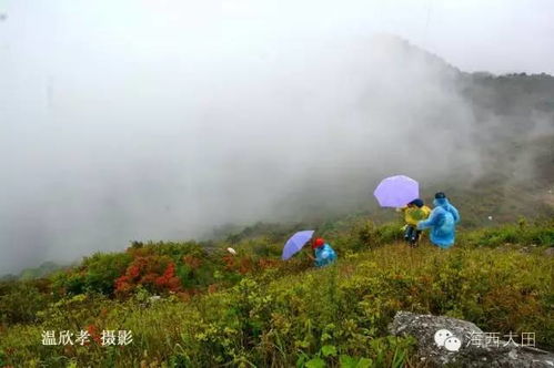 三明又多一旅游新去處 普禪山旅游景區開發項目簽約,五年內完成投資