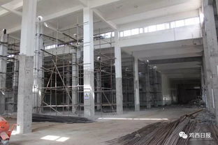 重點項目開復工進行時