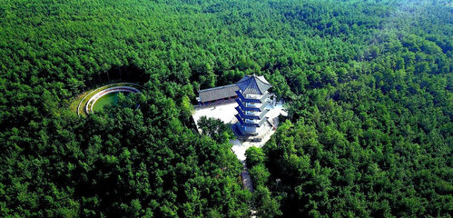 川渝黔陜甘五省聚廣元推介康養明星產品,廣元黑石坡森林康養旅游度假區亮相