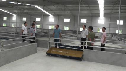 香龍鎮:小農民辦起大工廠