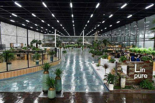 年產高檔印染面料1.44億米 華紡股份 綠色智能工廠項目 急需的8億終于批了
