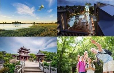 爆料!原坊商業街區進度曝光,2020年1月1日就開業!
