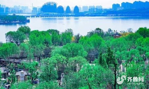 休閑好去處 泰山西湖 景區(qū) 五一 即將開(kāi)放