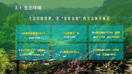 貢山縣低空飛行旅游開發項目