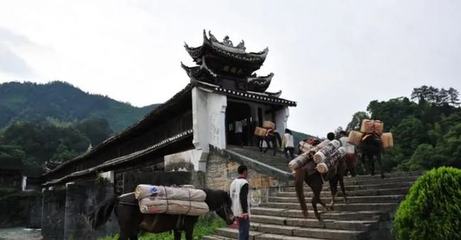 投資上億的4A級景區被迫停業,是誰將投資商逼到無路可退?