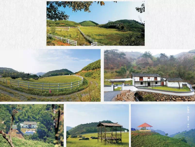 20個項目!62.5億元!富陽這類產業美爆了!