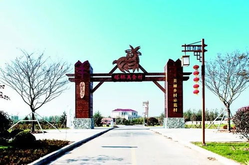 膠河經濟區全新規劃曝光 20億項目 休閑旅游好去處