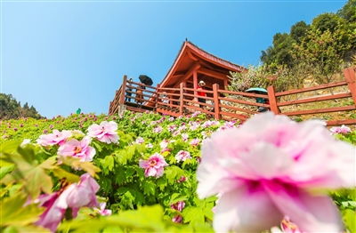 文旅融合綻放絢麗火花 2020年上半年全縣文化旅游發展綜述