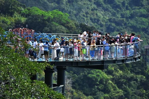 不同類型的旅游區(qū)旅游項目策劃應該怎么做