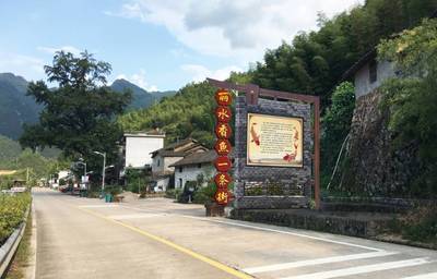鄉(xiāng)村振興水利先行 | 遂昌水利雙管齊下,強(qiáng)農(nóng)惠農(nóng)興農(nóng)_財(cái)經(jīng)_網(wǎng)