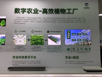 高質量發展調研行丨單位畝產量提升8-10倍 這家植物工廠助農有術